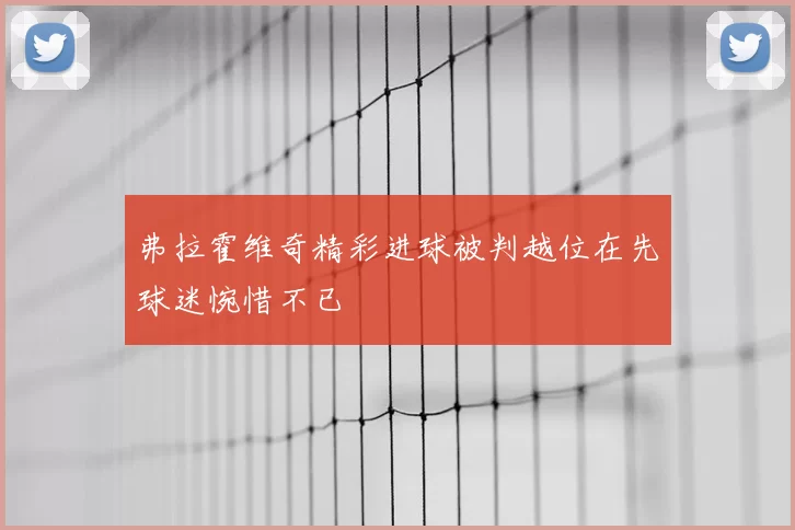 弗拉霍维奇精彩进球被判越位在先球迷惋惜不已