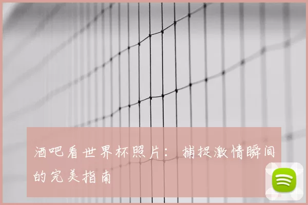 酒吧看世界杯照片：捕捉激情瞬间的完美指南