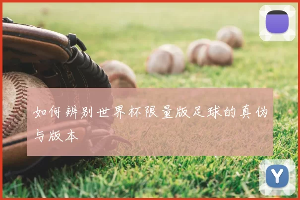 如何辨别世界杯限量版足球的真伪与版本