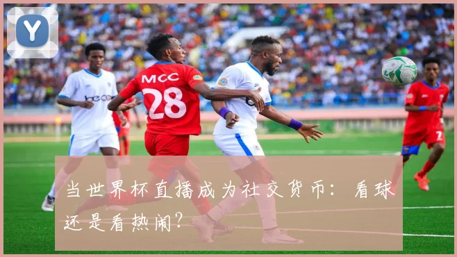 当世界杯直播成为社交货币：看球还是看热闹？