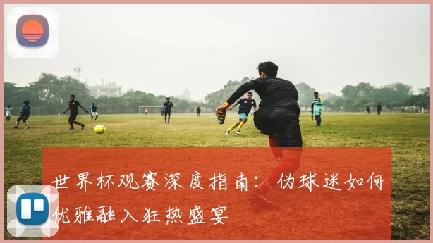 世界杯观赛深度指南：伪球迷如何优雅融入狂热盛宴