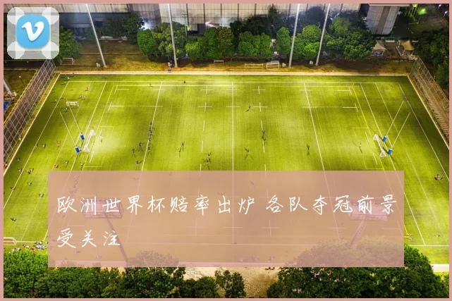欧洲世界杯赔率出炉 各队夺冠前景受关注