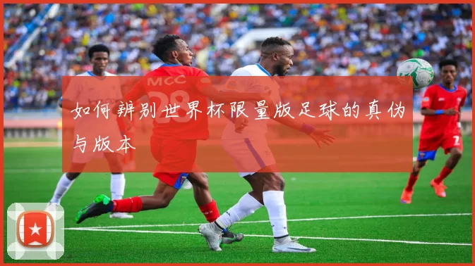 如何辨别世界杯限量版足球的真伪与版本